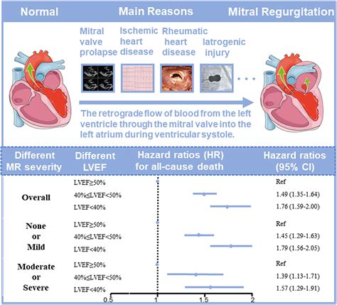 lv ejection|ejection fraction mild moderate severe.